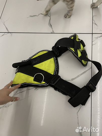 Шлейка для крупных собак