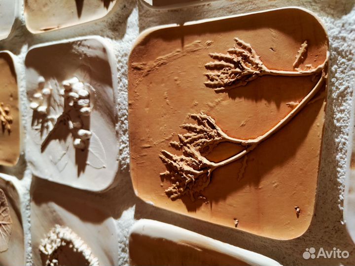 Гипсовая ботаническая плитка