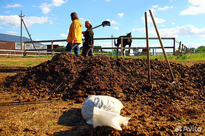 Навоз Конский для почвы на дачу