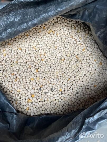 Продам пшеницу ячмень