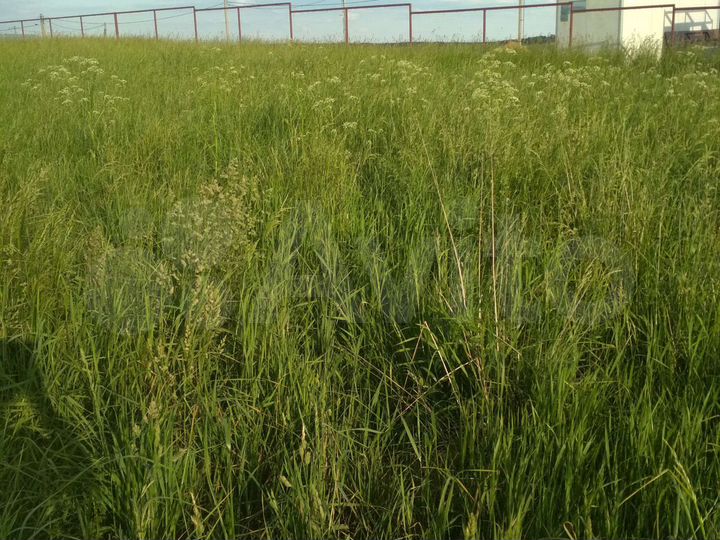 Участок 10 сот. (ИЖС)