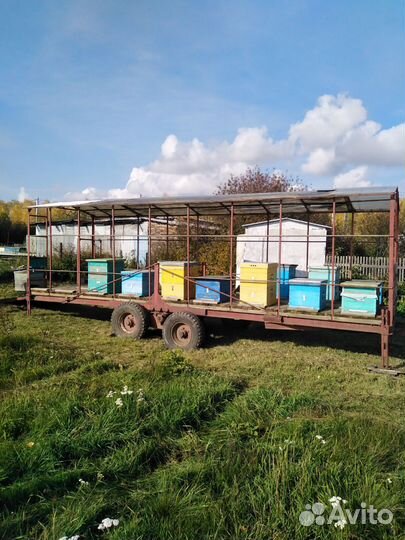 Пчёловодная платформа