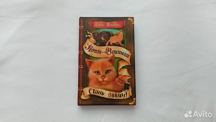 Книга Коты воители «Стань диким»