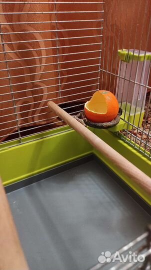 Клетка для попугая inter-zoo