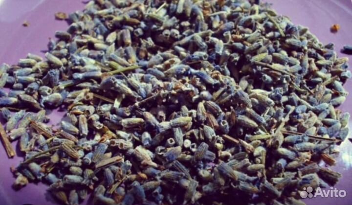 Лаванда (цветки)