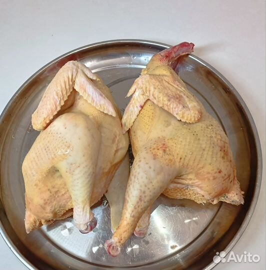 Домашние куры мясо