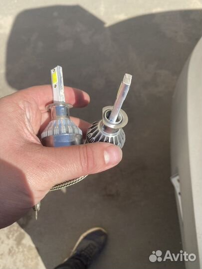 Диодные лампы h1