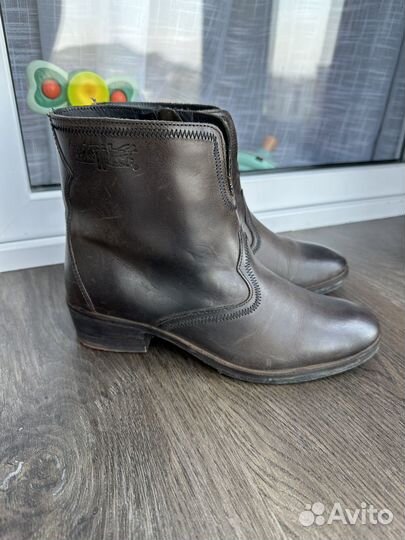 Казаки levis 37