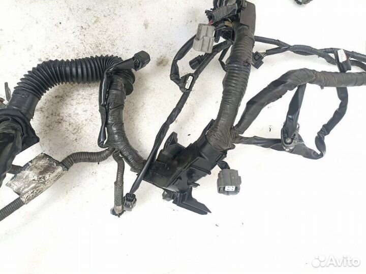 Проводка двс Infiniti G37 V36 3.7 VQ37VHR 2010