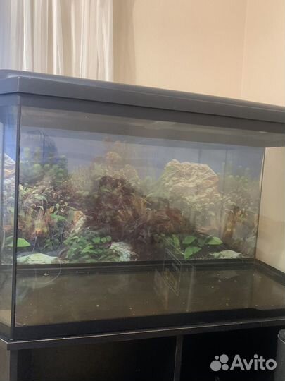 Аквариум с тумбой 200 литров