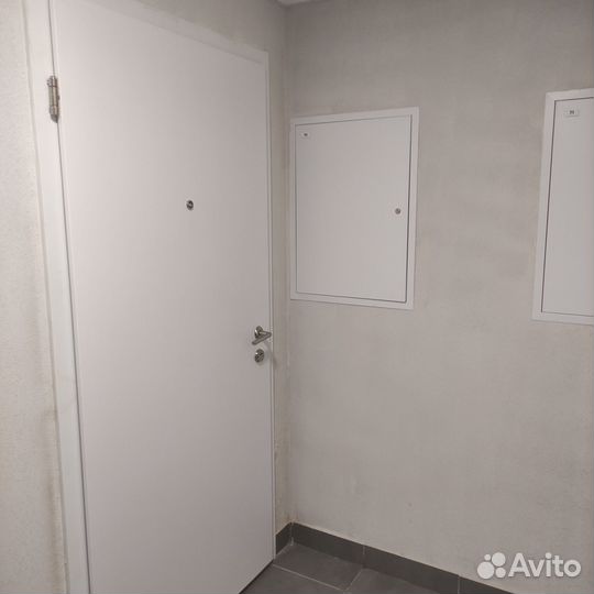 Входная дверь