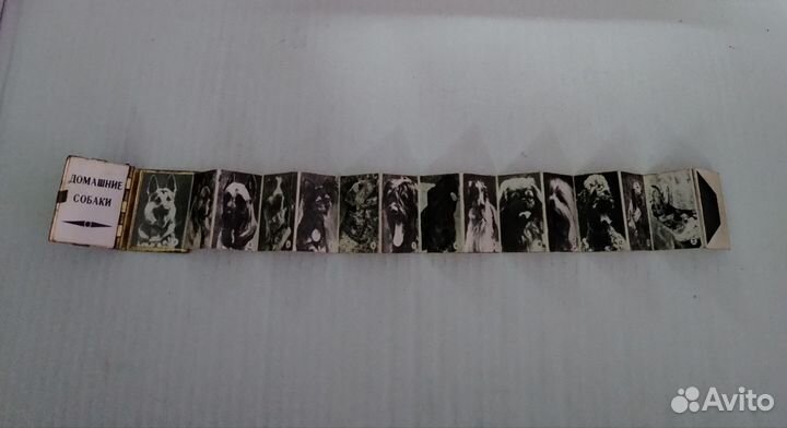 Коллекционирование СССР