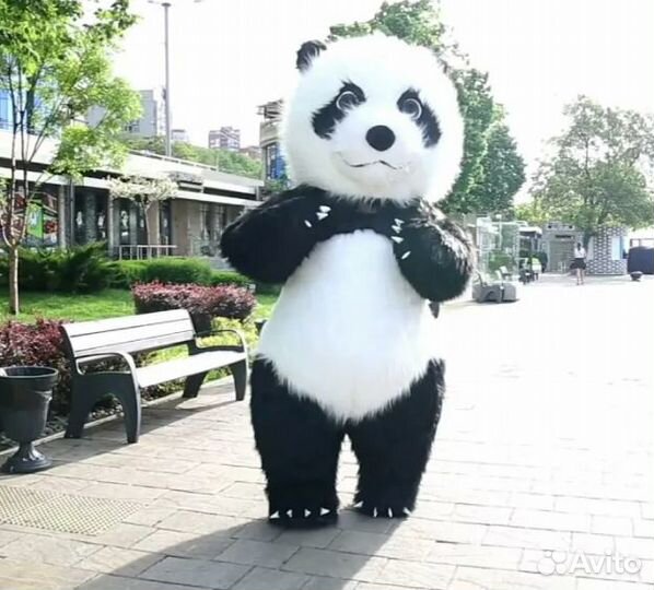 Белый Мишка и Панда Поздравление