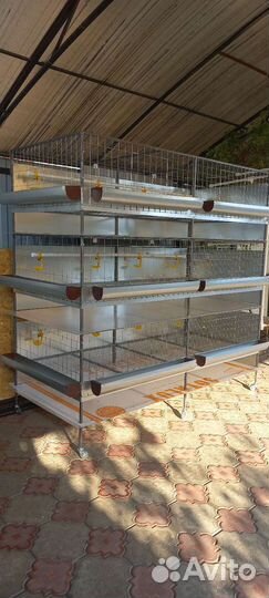 Клетки для бройлеров