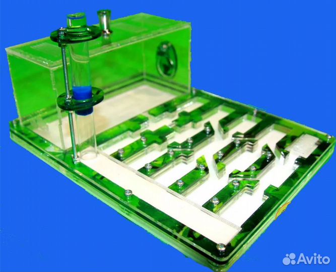 Муравьиная ферма с муравьями матка + 50 муравьев