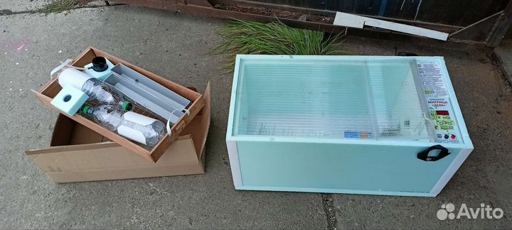 Инкубатор матрица дели