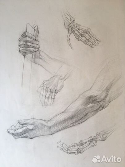 Академический рисунок