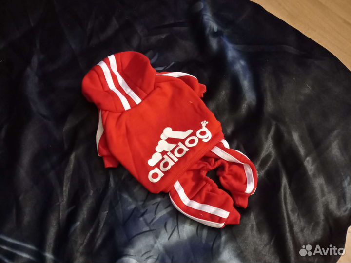 Для маленькой собачки