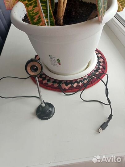 Экшен камера