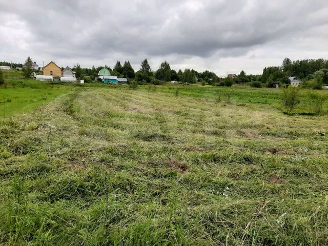 Погода в деревне рыжково владимирская обл