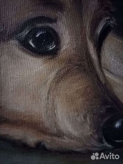 Картина маслом(Сделаем50процСкид)хол,Спаниель45х60