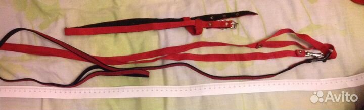 Поводки для маленькой собачки