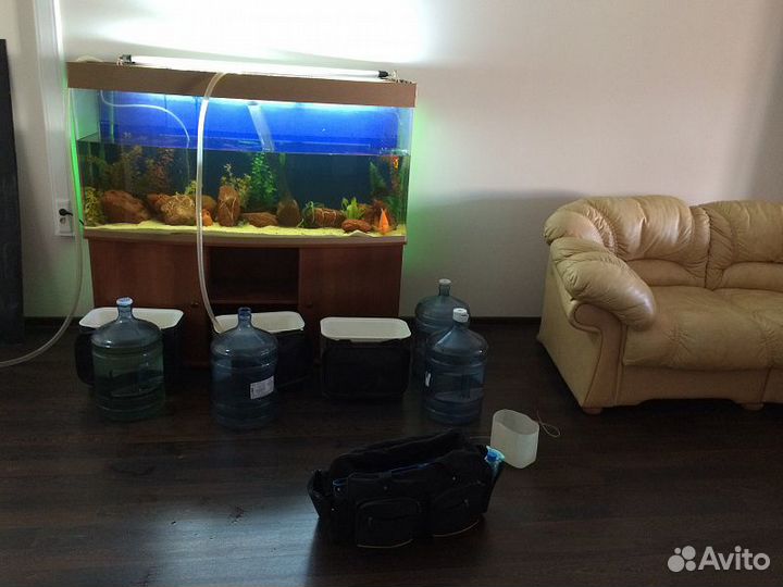 Аквариум
