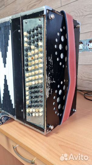 Баян тульский