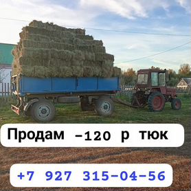 Продам сено этого года, пот дождь не попадал