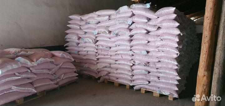 Семена кукурузы краснодарский 291 амв F1