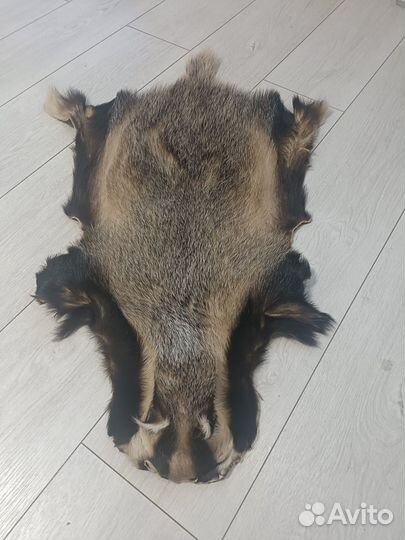 Натуральная шкура барсука, интерьерная, подарочная