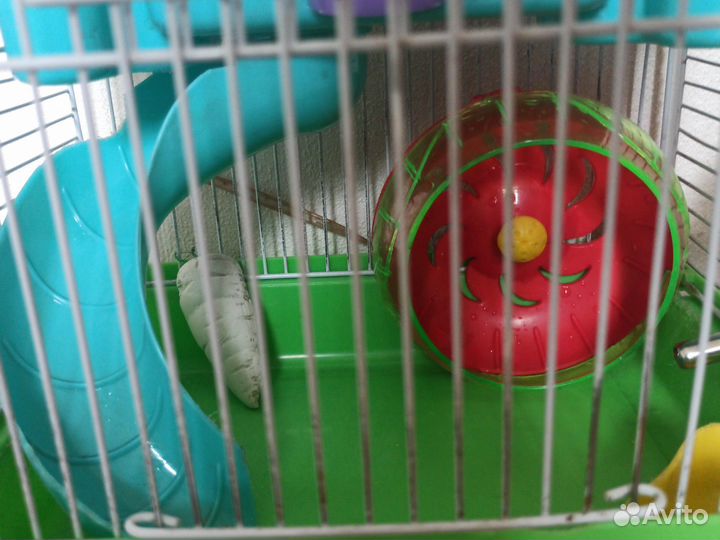 Клетка для грызунов