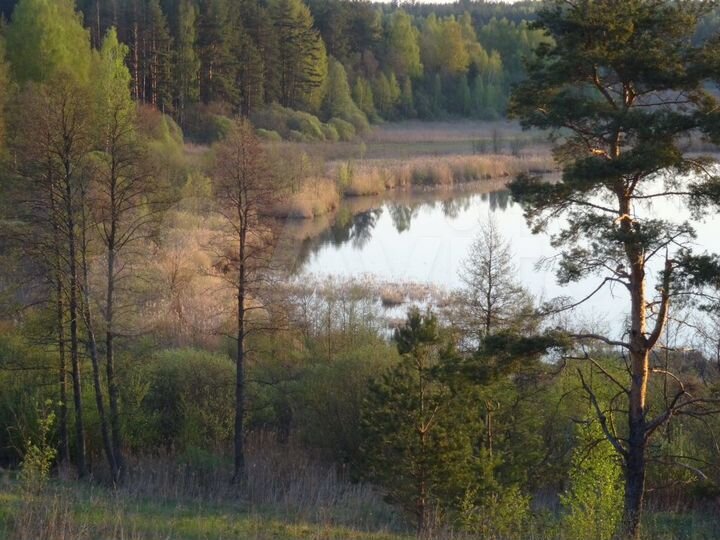 Участок 8,3 га (СНТ, ДНП)