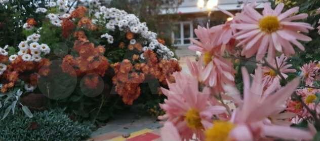 Комната 65 м² в 2-к., 1/1 эт.