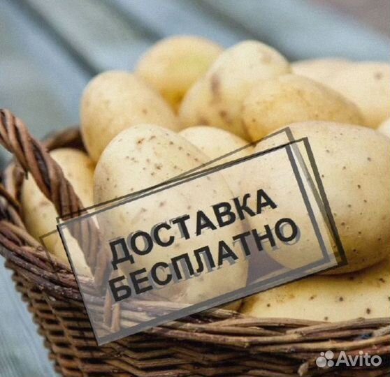 Картофель с доставкой на дом,офис