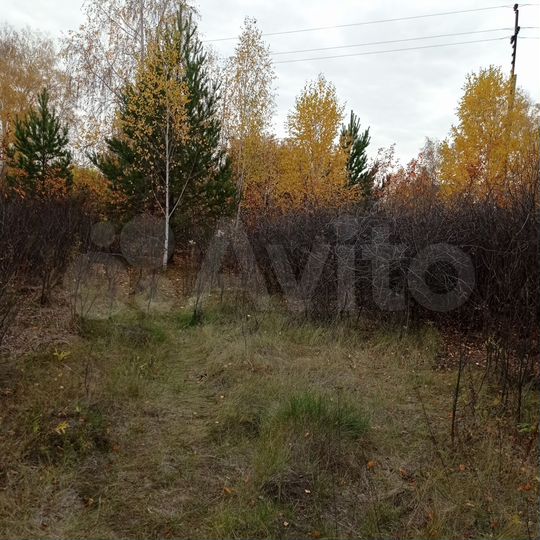 Участок 6 сот. (СНТ, ДНП)