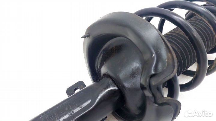 Амортизатор подвески правый Ford Focus 3 iqdb 2016