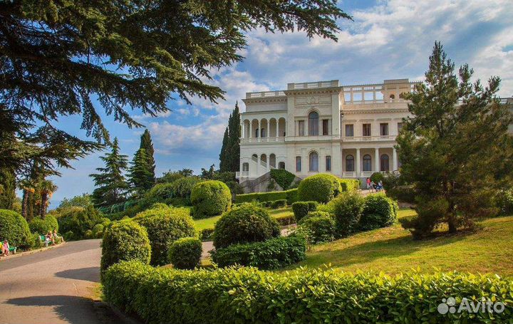 Бересклет (декоративный кустарник,живая изгородь)