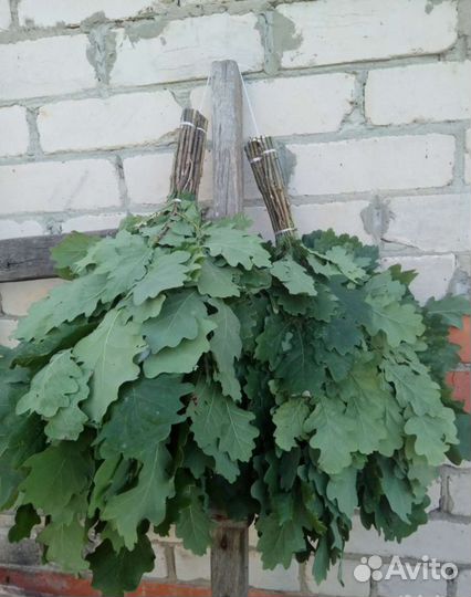 Веники для бани