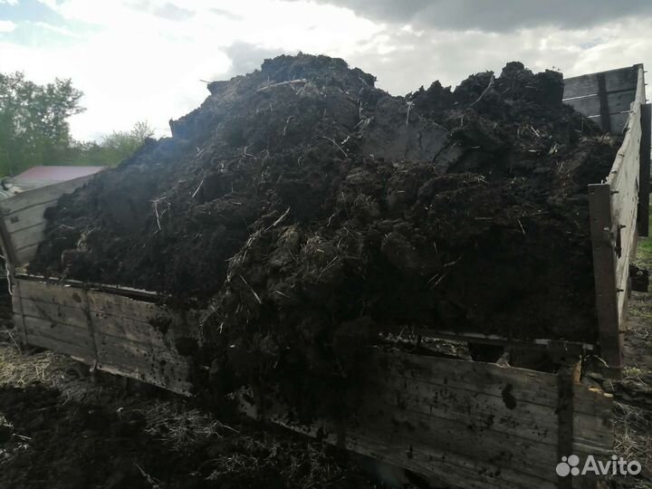 Навоз коровий
