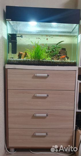 Аквариум с рыбками