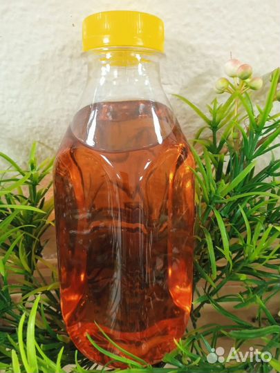 Корм / Масло лососевое