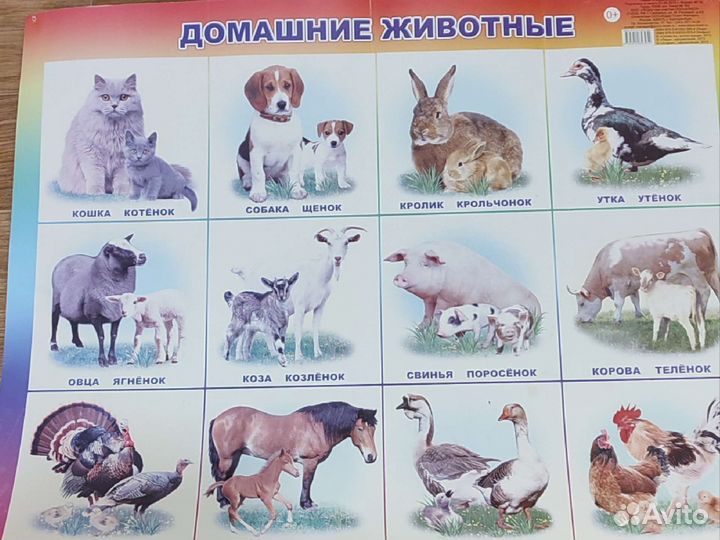 Обучающие плакаты для развития детей