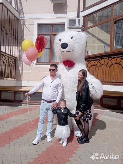 Белый мишка поздравление