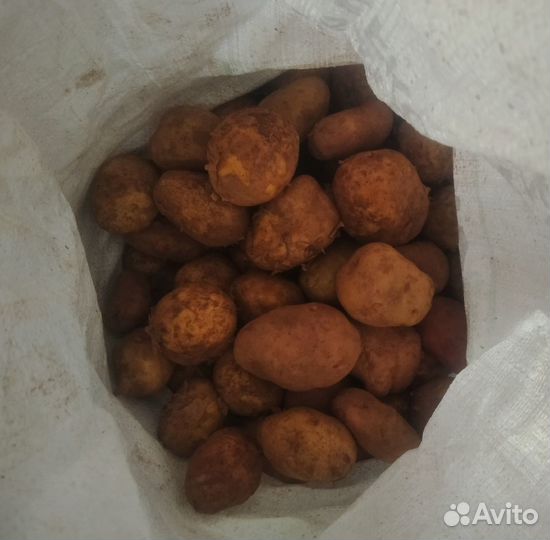 Картофель с доставкой до подъезда