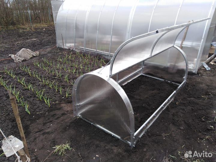 Парник бабочка