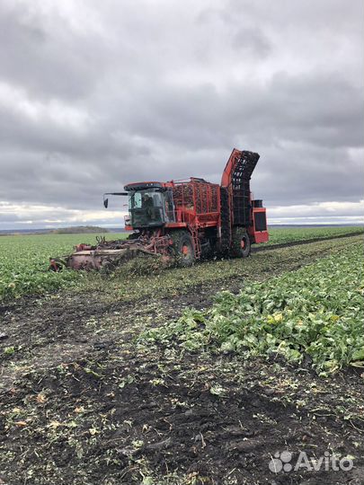 Комбайн Holmer Terra Dos T-2, 2003