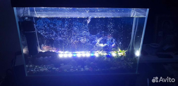 Аквариум