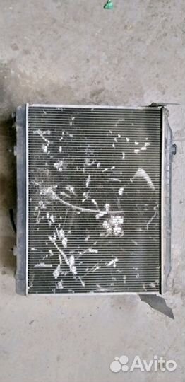 Радиатор охлаждения Nissan Elgrand. Кузов avwe50