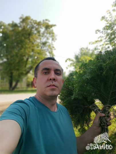 Веник для бани свежий